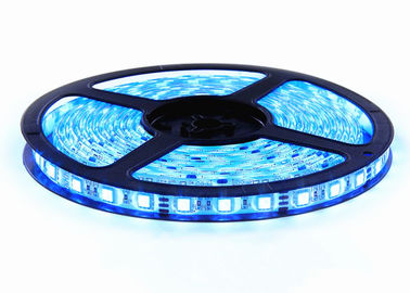 China die Farbe 12V, die LED-Neonbeleuchtung ändert, Dimmable führte Neonbeleuchtungs-multi Farbe 5m fournisseur