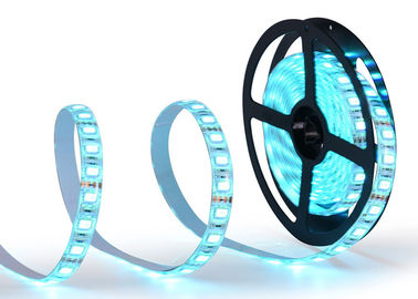 China Wasserdichte hohe Helligkeit IP65 LED RGB Neonbeleuchtungs-12V dekoratives 60LEDS/M fournisseur