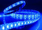 Blaue LED Streifen der Doppelschicht-IP65 5M rollen weiße selbstklebende einfache Installation PWBs fournisseur