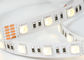 Super helle Intensitäts-dekorative Beleuchtung RGB flexible geführte hohe Streifen-24V fournisseur